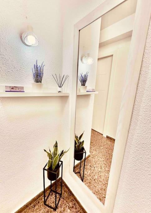 Citadella Apartment Sagunto Εξωτερικό φωτογραφία