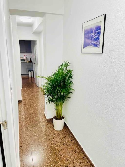 Citadella Apartment Sagunto Εξωτερικό φωτογραφία